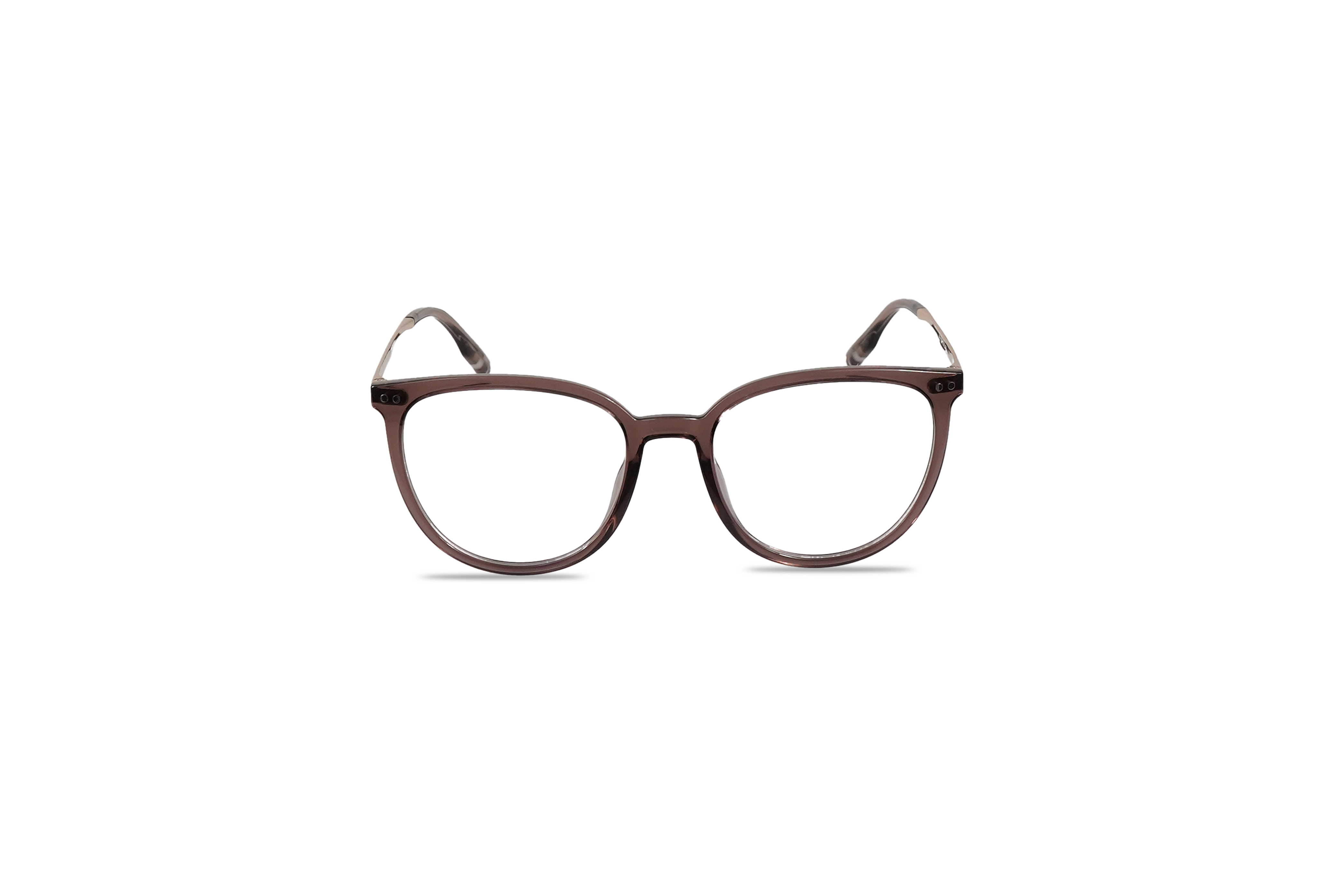 Die Brille Tom Tailor 671013 in Violett auf weißem Hintergrund in Frontalansicht.