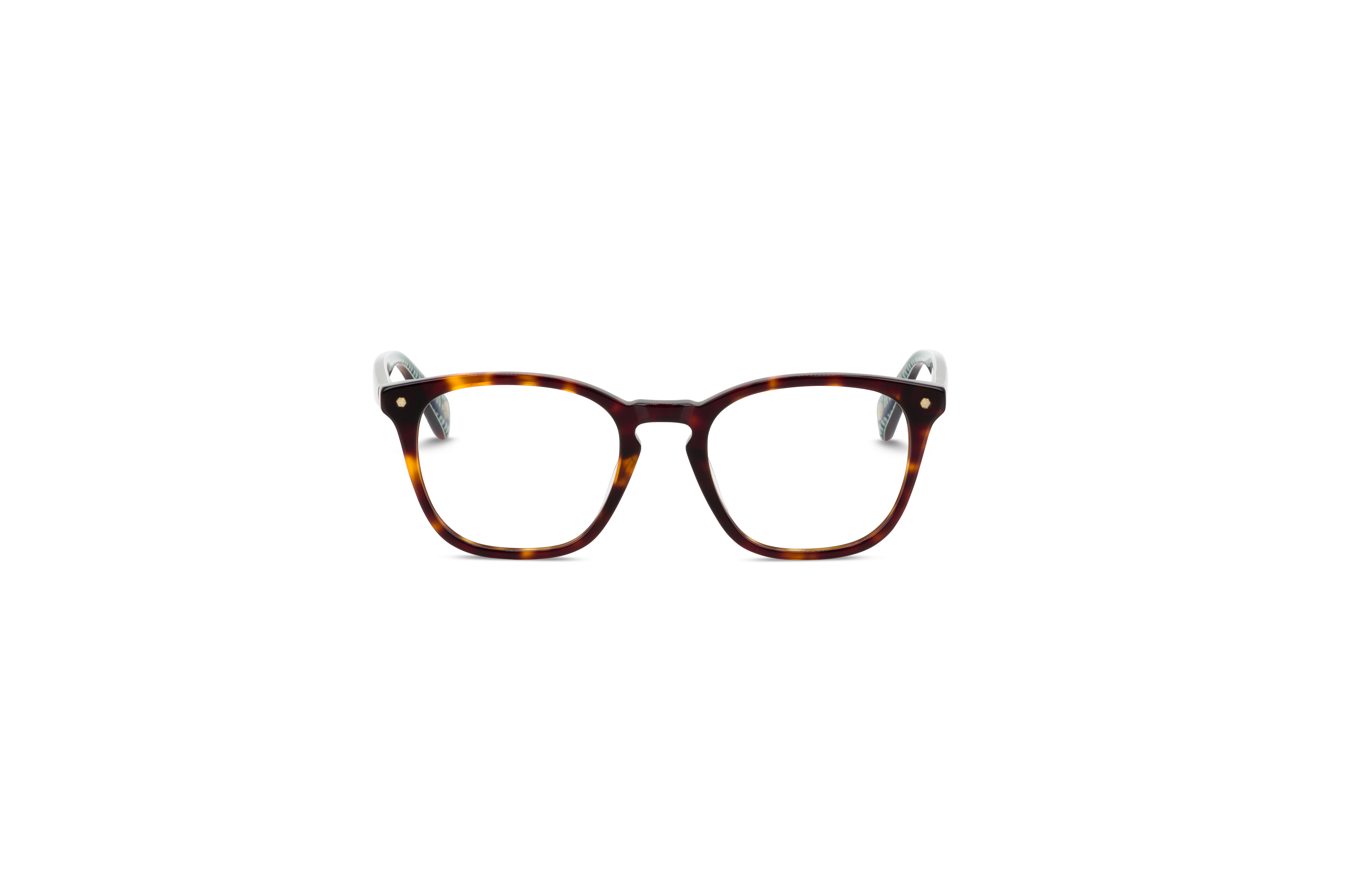 Die Brille Ted Baker 8287 in Havanna auf weißem Hintergrund in Frontalansicht.