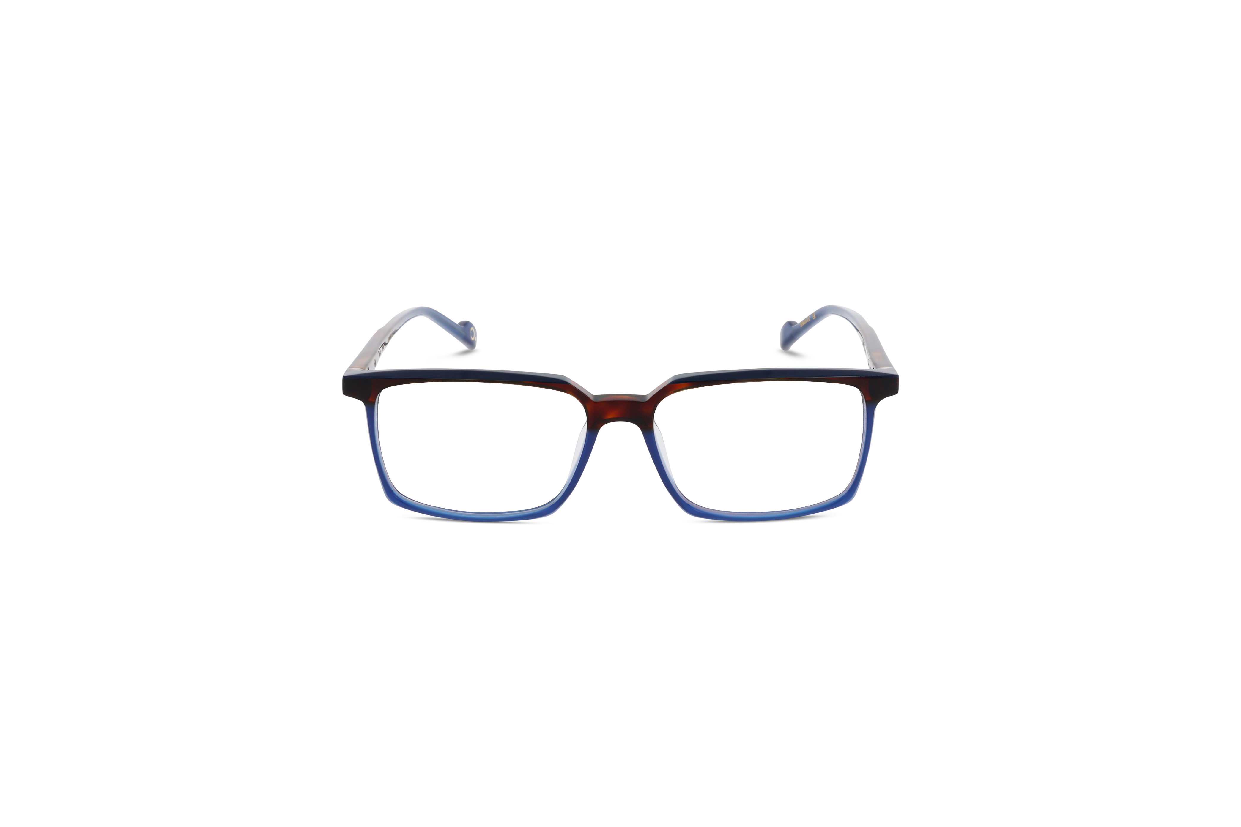 Die Brille Etnia Barcelona DIEGO in Blau auf weißem Hintergrund in Frontalansicht.