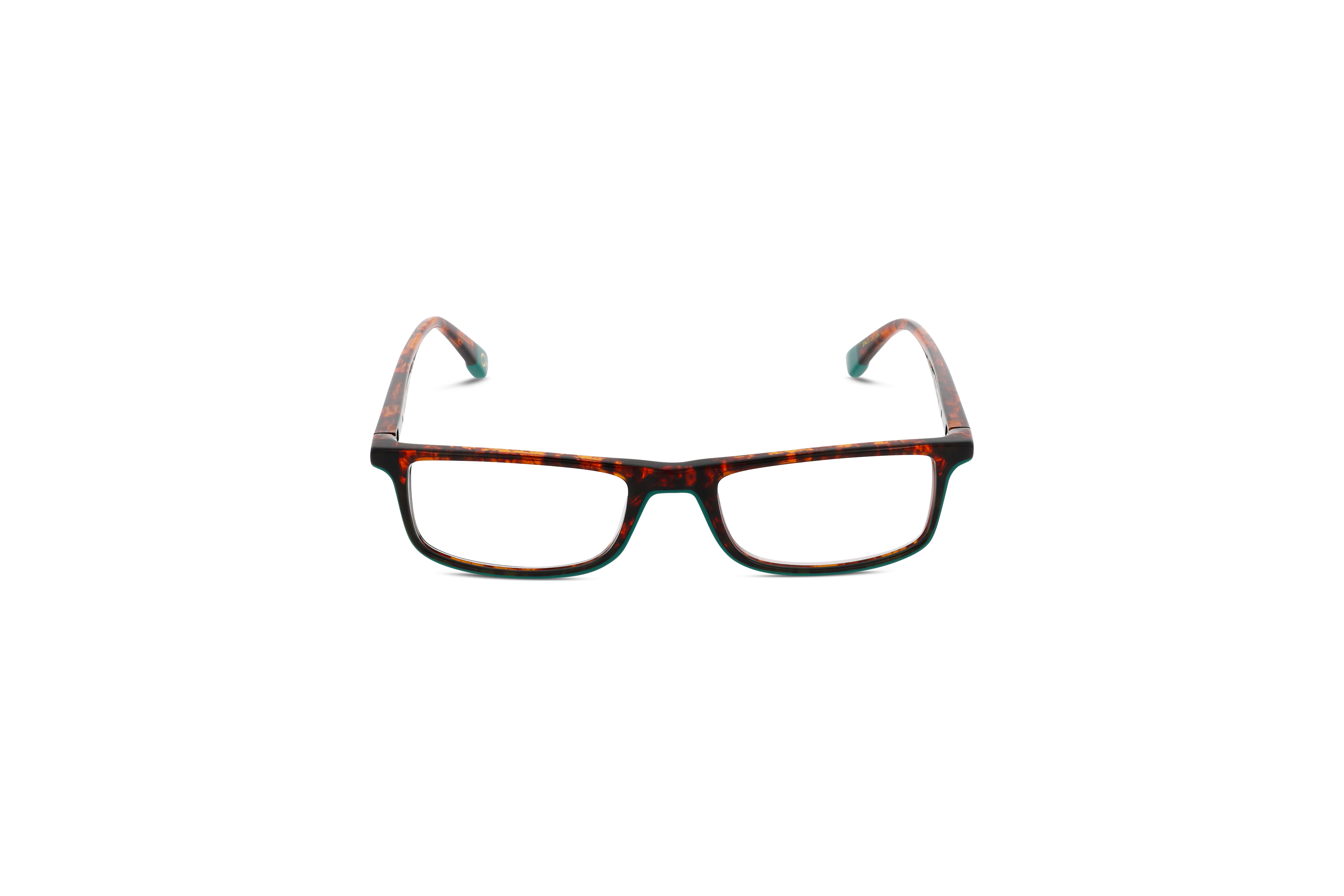 Die Brille Etnia Barcelona NEW MOON in Havanna auf weißem Hintergrund in Frontalansicht.