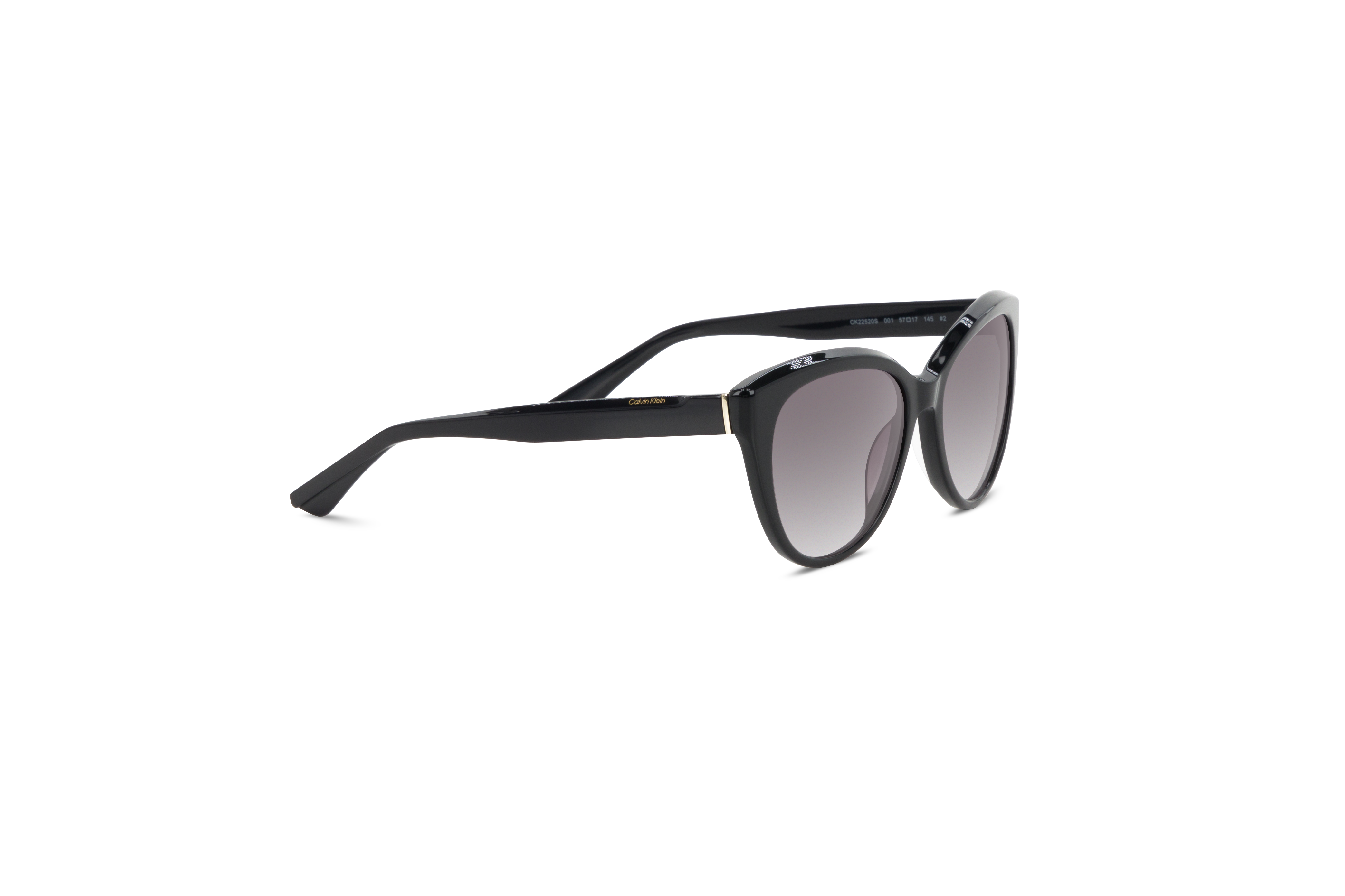 Die Sonnenbrille Calvin Klein CK22520S in Schwarz mit Seitenansicht.