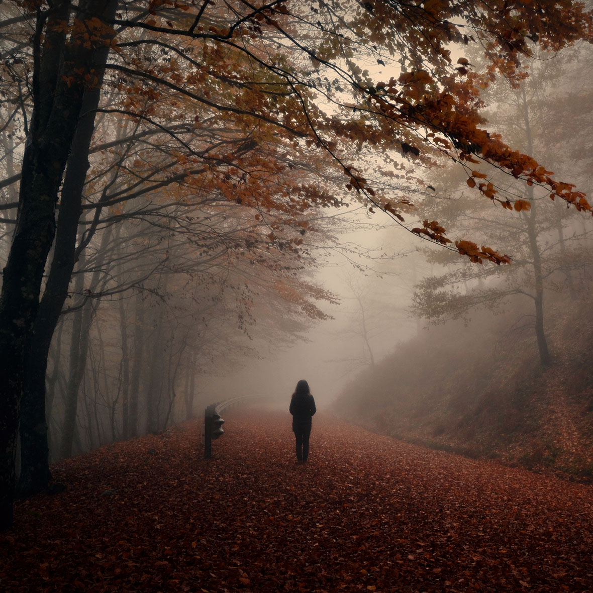 Akustik Newsletter - Hörgeräte im Herbst_1180x1180_4