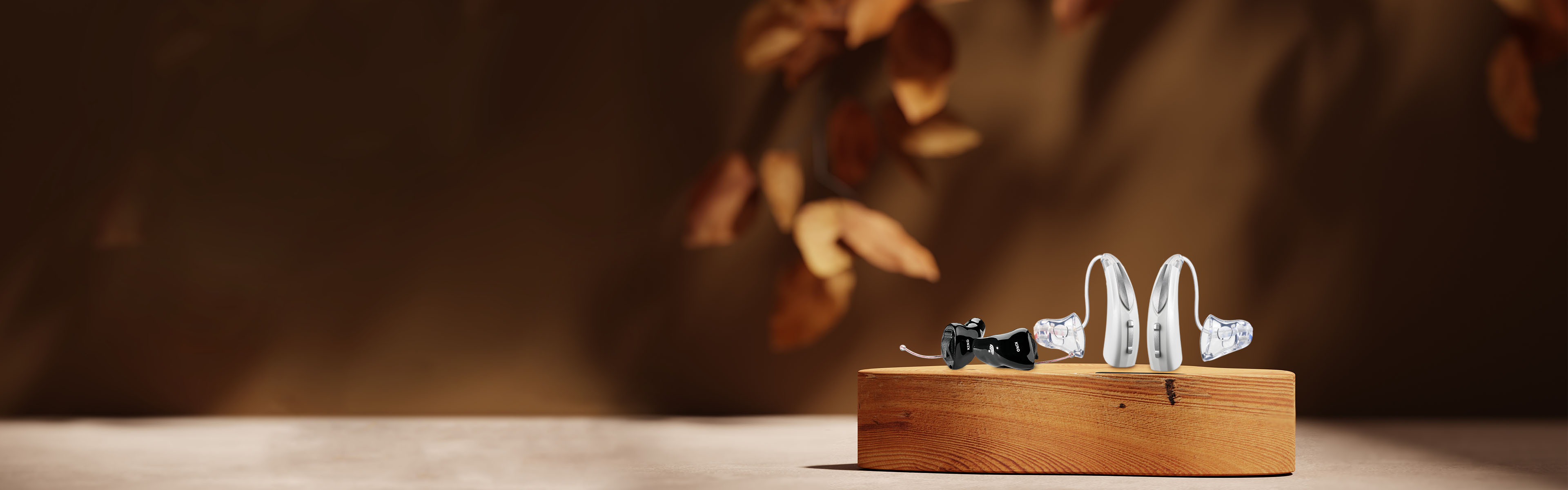 Header_Hoergeraete_im_Herbst_16x5