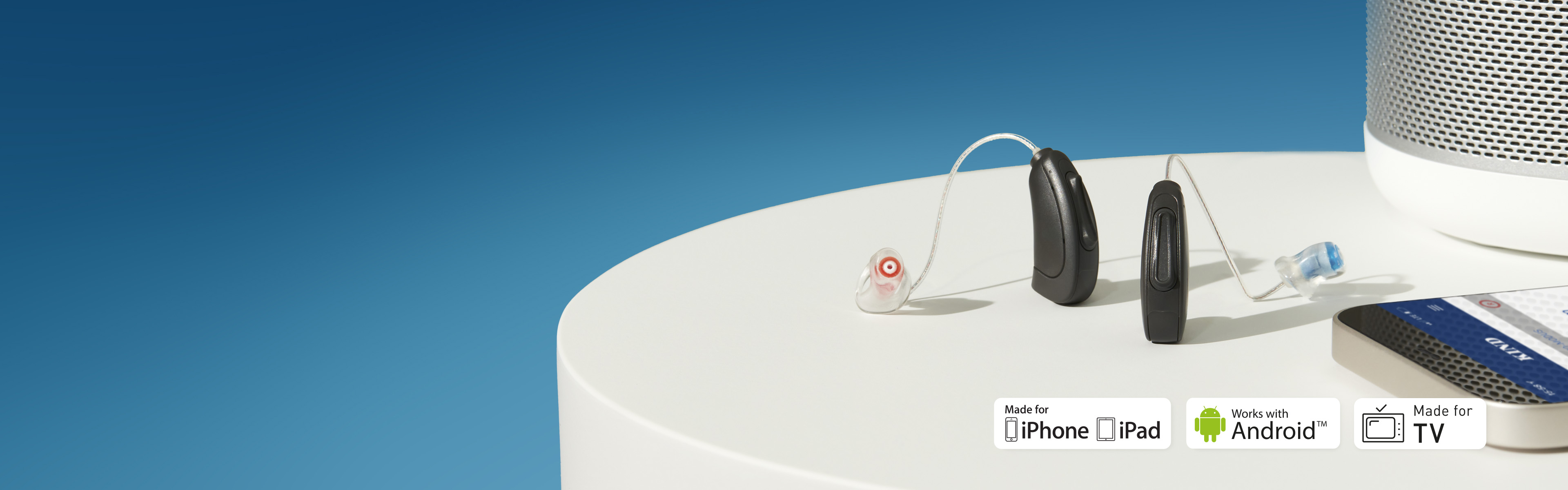 Headerbild_KINDwings_blau_10-2024_16x5