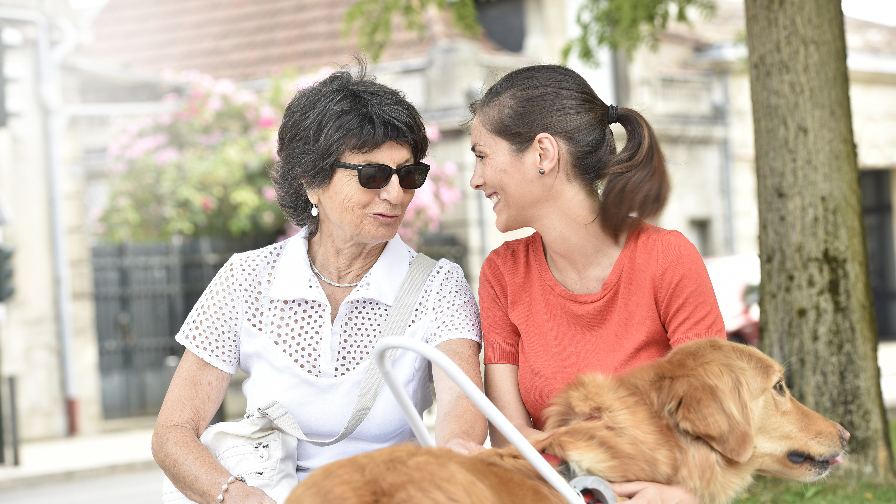 Hoersinn_Blinder_2880x1620