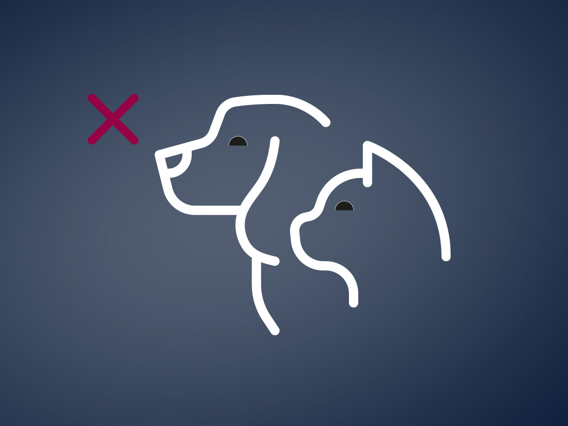 Icon_Tiere_4x3_07-2022