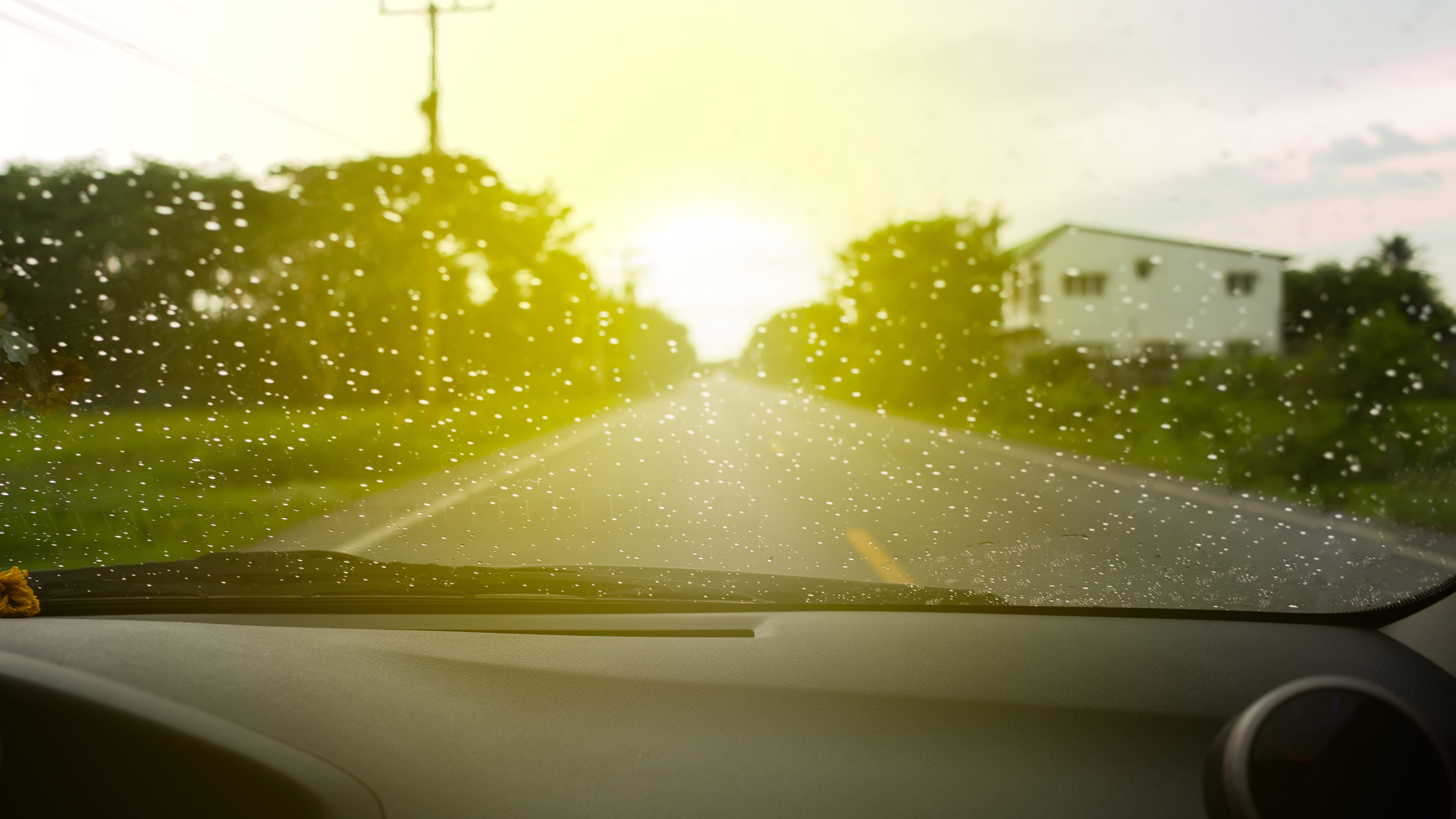 KIND-Polarisierte-Sonnenbrille-Autofahren