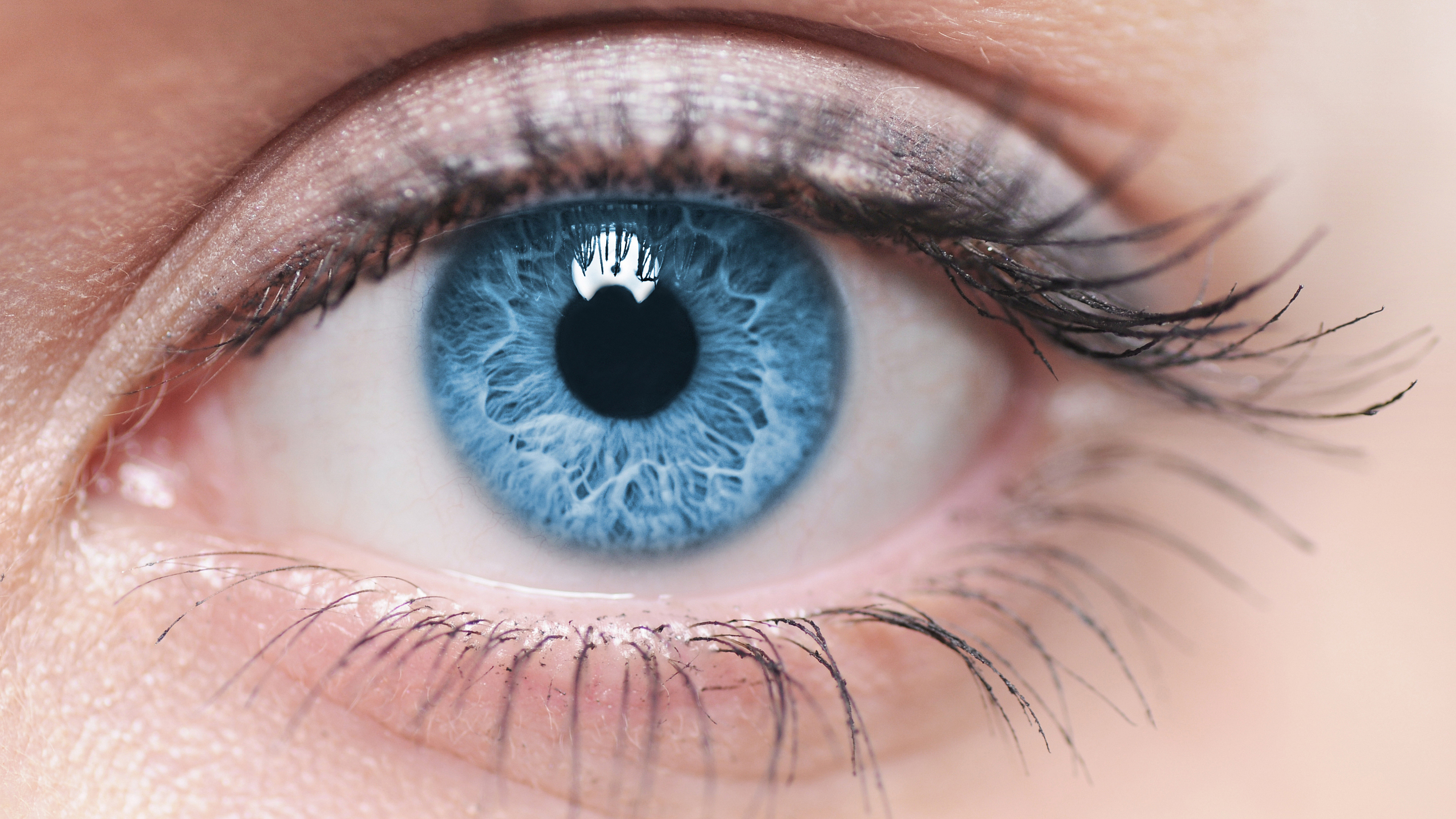 Magazinartikel-aufbau-des-auges_2880x1620