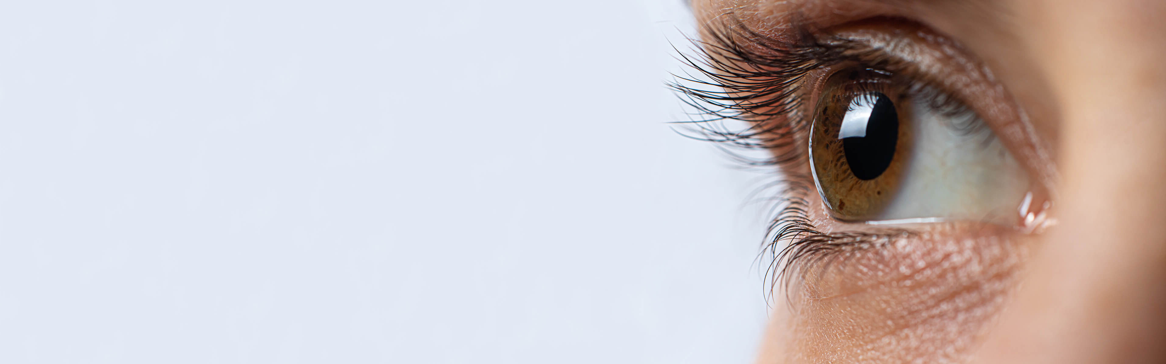 Welttag_des_Sehens_2025_Headerbild_10-2025_16x5